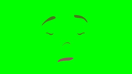 Cartoon eyes, brows,nose and talking mouth or girl or woman face on green screen for insert, chroma key green screen motion graphics stock video 3D animation. Ultra high resolution. lip syncing Facial