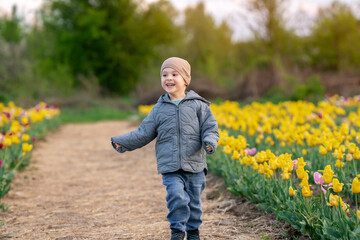 Happy three year old toddler boy runs in a tulip field on a sunny spring day. Childhood and nature concept