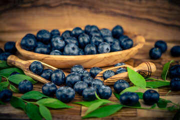 Heidelbeere Vaccinium myrtillus auch Blaubeere genannt auf Olivenholz