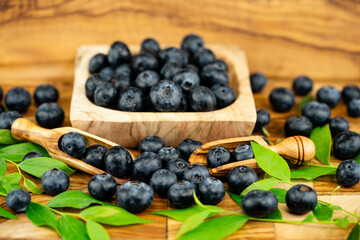 Heidelbeere Vaccinium myrtillus auch Blaubeere genannt auf Olivenholz