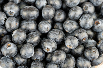 Heidelbeere Vaccinium myrtillus auch Blaubeere genannt auf Olivenholz