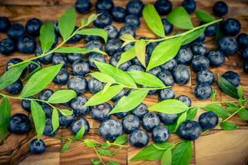 Heidelbeere Vaccinium myrtillus auch Blaubeere genannt auf Olivenholz