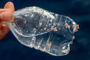 crab and goose barnacles on plastic bottle on sea pacific ocean Plastic waste ,environmental or...