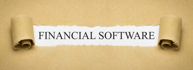 Financial Software