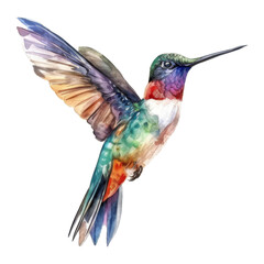 Fototapeta premium Hummingbird, Bird Illustration. Watercolor Style. AI Generated