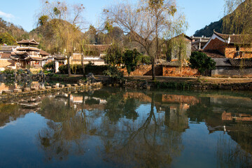 Fototapeta premium reflection of trees in lake