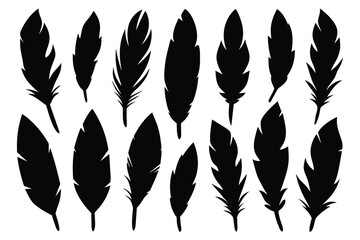 Set of drawn vector bird feathers on white background