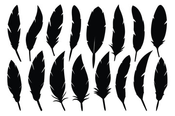 Set of drawn vector bird feathers on white background