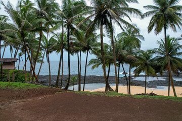 the view from a hill on the beach near the water, Sao Tome, Africa