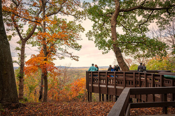 Wooden platform in a natural forest landscape, overlooking a lush valley.