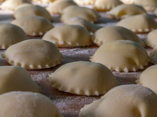 Gros plan sur des raviolis fait maison