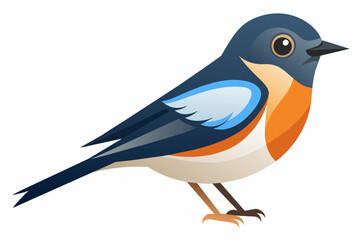  A beautiful flycatcher bird vector artwork illustration