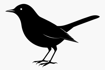 A catbird silhouette black vector artwork illustration 