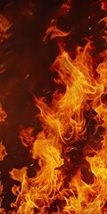 Fototapeta premium fire flames background