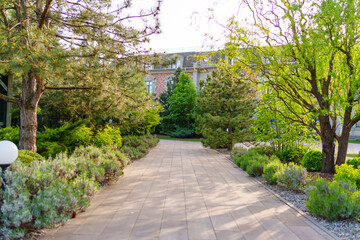 A path in the park between the trees. Landscaping for homes and hotels.