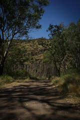 Landscape_volcanic_Ancient_organpipes