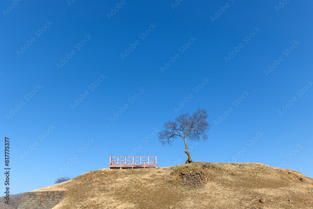 Wall mural tree on the hill