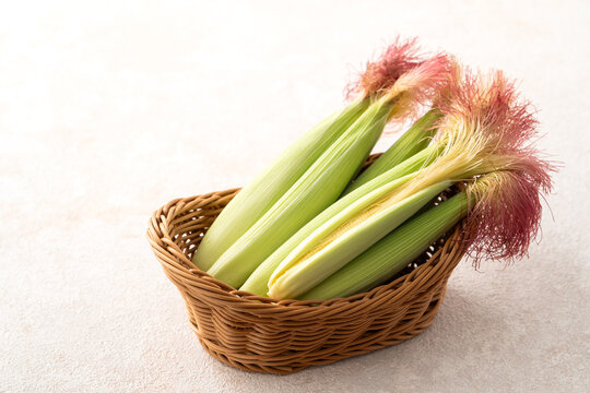 Raw baby corn in husk with red silk on gray table background.