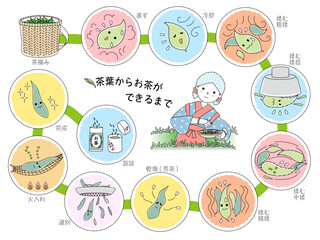 茶葉からお茶ができるまで