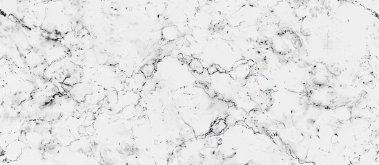 A close up of a white marble texture with black veins