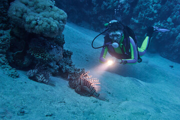Person wearing a scuba suit and fins discovering underwater life in a clear, blue ocean