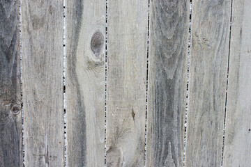 Wood background