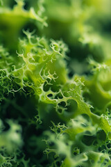 A detailed close-up of tree moss, showcasing its soft, velvety texture and vibrant green color. 