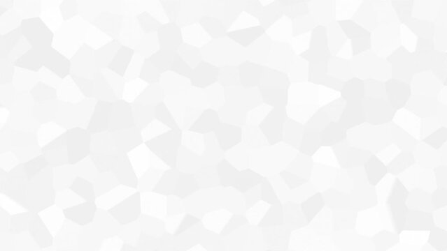 White and Black color mosaic tile design geometrical abstract pattern background