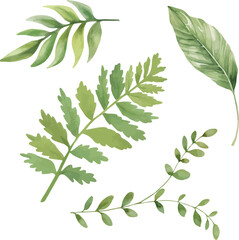 Vector Watercolor tropical leaves clipart. Template, design elements for greeting cards, invitation, gender party, baby shower, birthday, event, holiday, wedding card, printable, EPS.