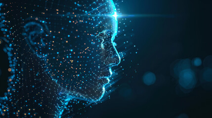 Digital representation of a human head profile