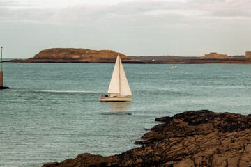 sailboat on the sea