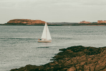 sailboat on the sea
