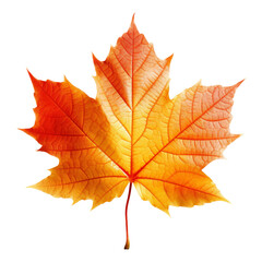 Fototapeta premium Vibrant autumnthemed PNG image with a dicut style and transparent background.