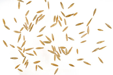Scattered oat grain seeds isolated on a transparent background. Top view.