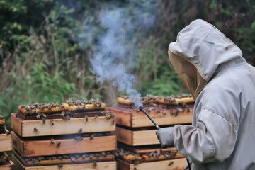Person in protective gear using a smoker near beehives in a garden setting, surrounded by bees.