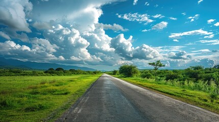 A long empty road stretching through a vast field. Suitable for travel and countryside concepts