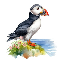Naklejka premium Puffin, Bird Illustration. Watercolor Style. AI Generated