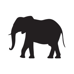 Fototapeta premium Silhouette of an Elephant