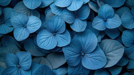   A blue flower with green leaves and blue petals