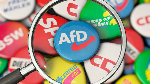 Die AfD im Fokus