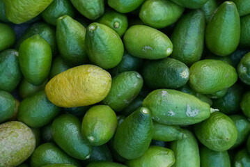 Top view of a variety of fresh green avocados