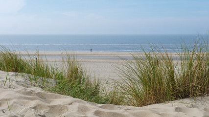 Sand dunes covered in tall grass gently slope down to the ocean, creating a tranquil scene with the...