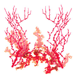 Fototapeta premium Сurved lush pink-red coral bush. Isolated decorative frame of two types of plant. Flat floral pattern. Geometric ornament for festive design. Digital illustration with stylish forest in Japanese style