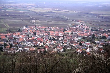 Obraz premium Aerial view of a town in a green field on a cloudy day
