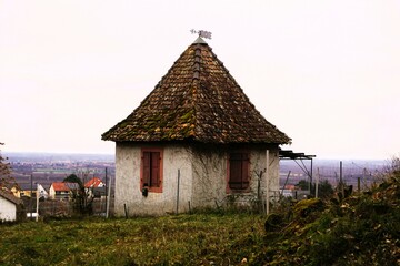 Tiny house in Neustadt, Germany on the mountain near Hambach Castle