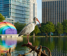 Picturesque beach scene where a majestic bird perches gracefully on the shoreline