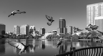Picturesque beach scene where a majestic bird perches gracefully on the shoreline © Wirestock
