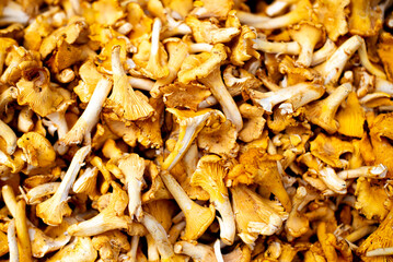 mushrooms are stacked on top of each other in this picture