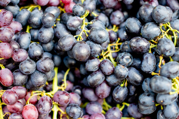 ripe grapes are stacked together and ready to be eaten