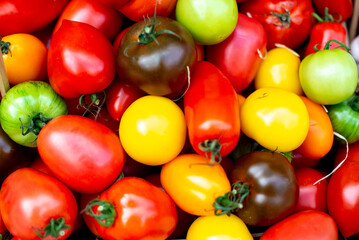 a bunch of multicolored tomatoes piled together with green, red and yellow